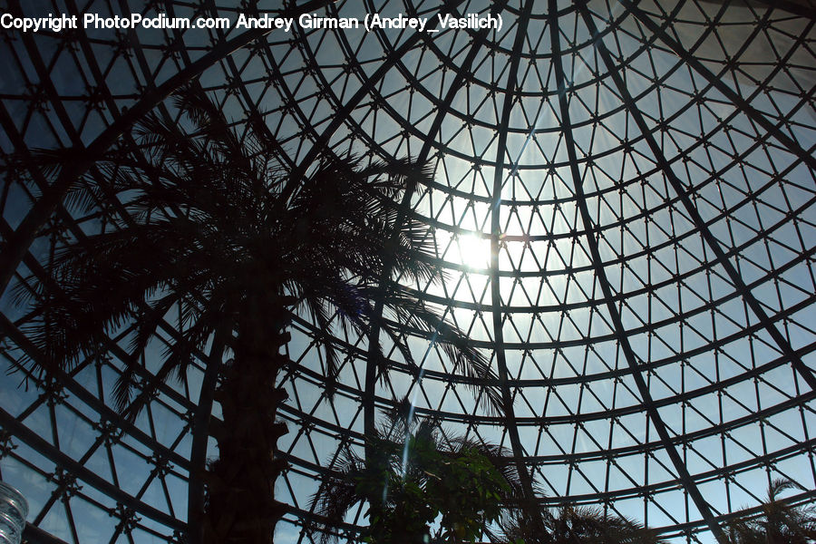 Architecture, Housing, Skylight, Window, Dome, Building, City