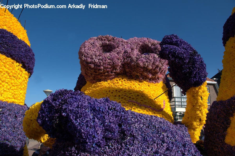 Lavender, Plant, Coral Reef, Outdoors, Reef, Sea, Sea Life