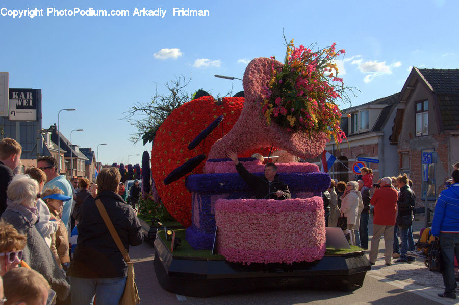 People, Person, Human, Crowd, Pinata, Bonsai, Plant
