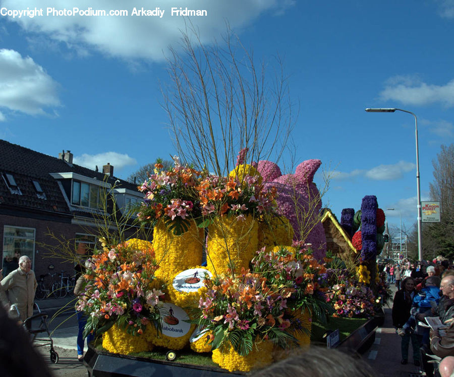 Plant, Potted Plant, Carnival, Crowd, Festival, Parade, Garden