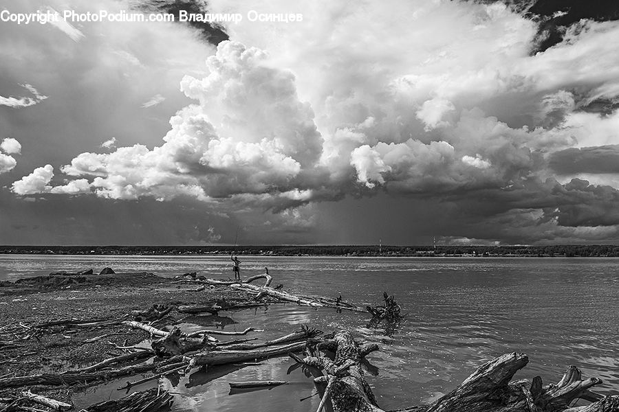 Cloud, Cumulus, Sky, Animal, Fish, Mammal, Sea Life