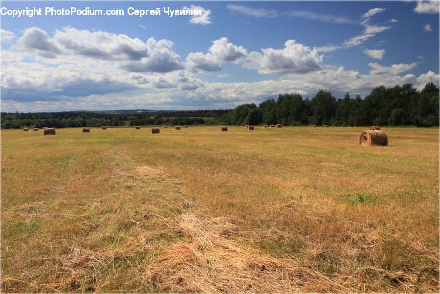 Field, Grass, Grassland, Land, Outdoors, Countryside, Meadow