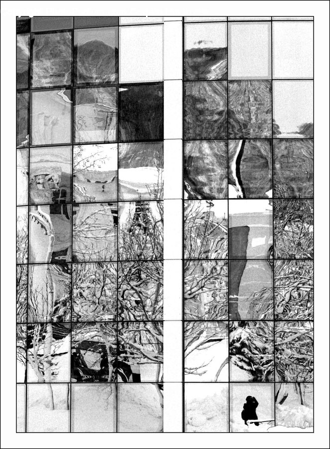 Collage, Poster, Diagram, Plan, Drawing, Sketch, Plant