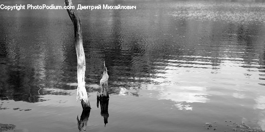 Outdoors, Ripple, Water