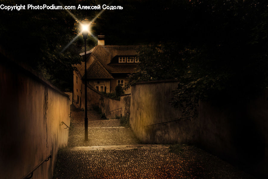 Plant, Potted Plant, Alley, Alleyway, Road, Street, Town