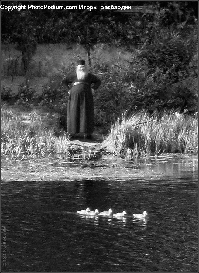 People, Person, Human, Water, Grass, Plant, Reed
