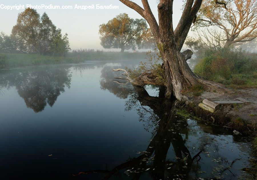 Creek, Outdoors, River, Water, Land, Marsh, Pond