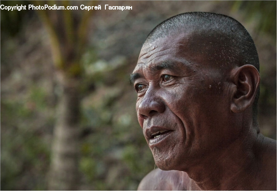 Tribe, Face, Head, Portrait, Person, People