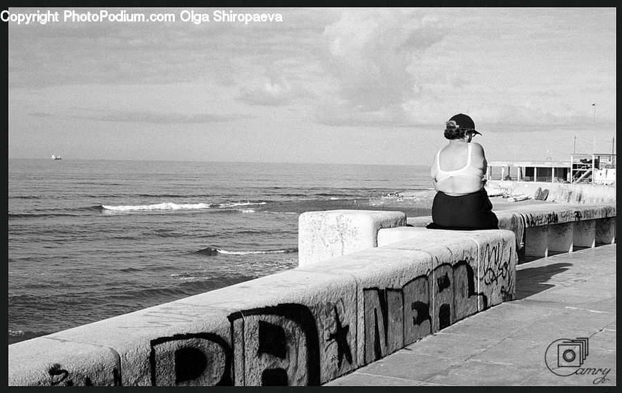 People, Person, Human, Back, Dock, Pier, Landing