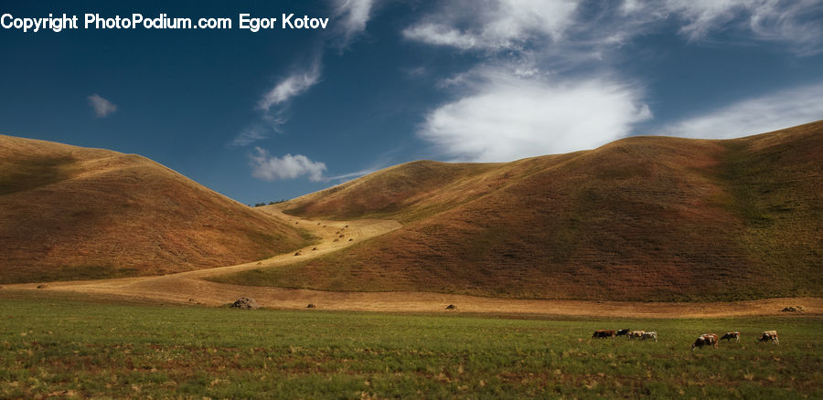 Field, Grass, Grassland, Land, Outdoors, Mound, Dirt Road