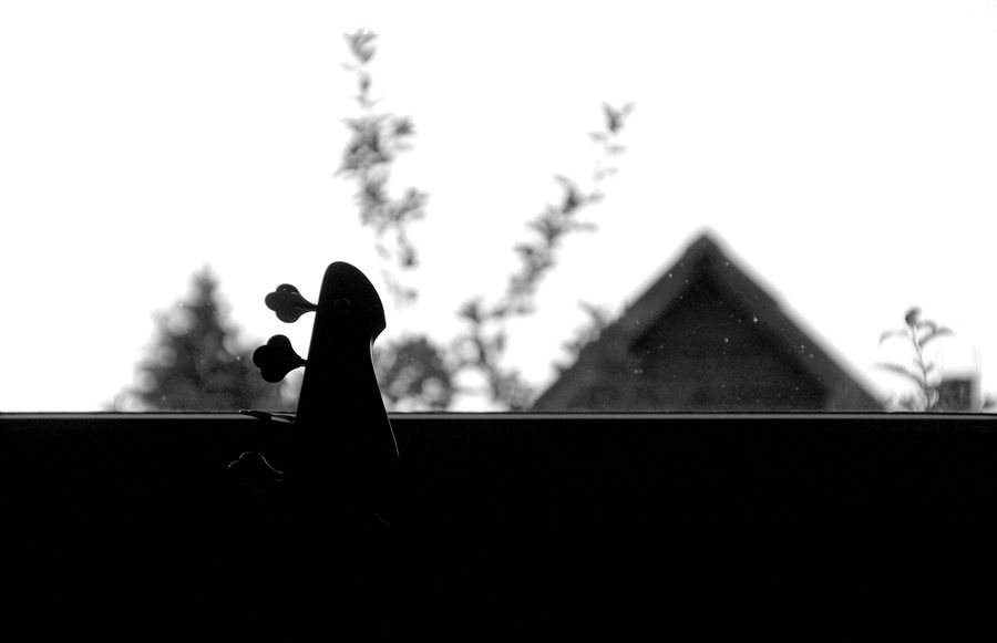 Silhouette, People, Person, Human