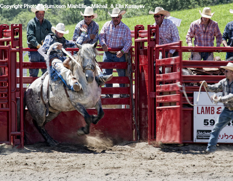People, Person, Human, Rodeo, Bench, Tractor, Vehicle
