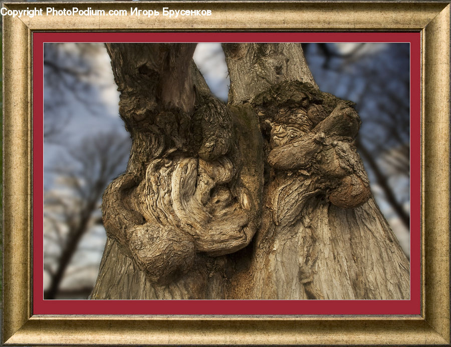 Art, Gargoyle, Statue, Modern Art
