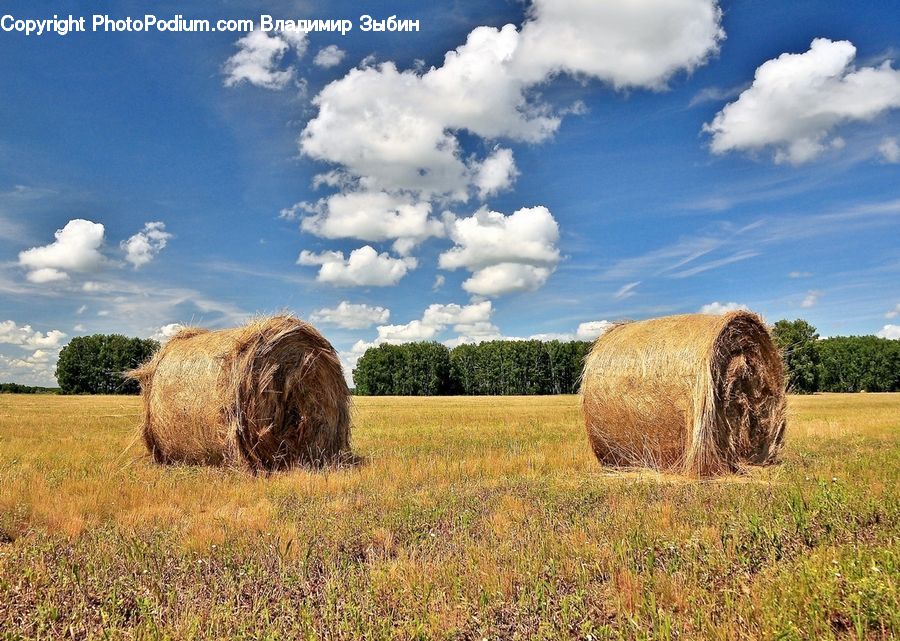 Countryside, Hay, Straw