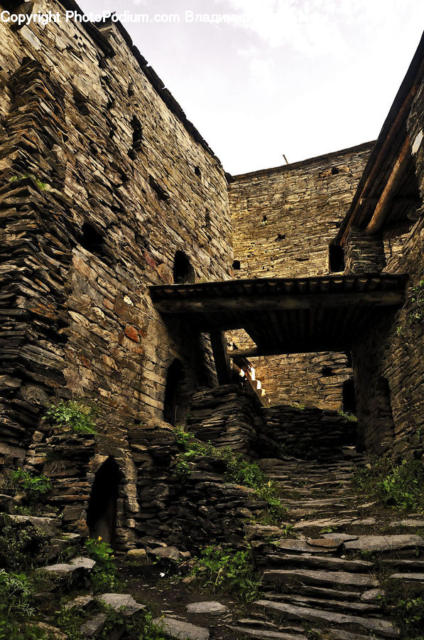 Ruins, Brick, Castle, Fort, Forest, Jungle, Rainforest