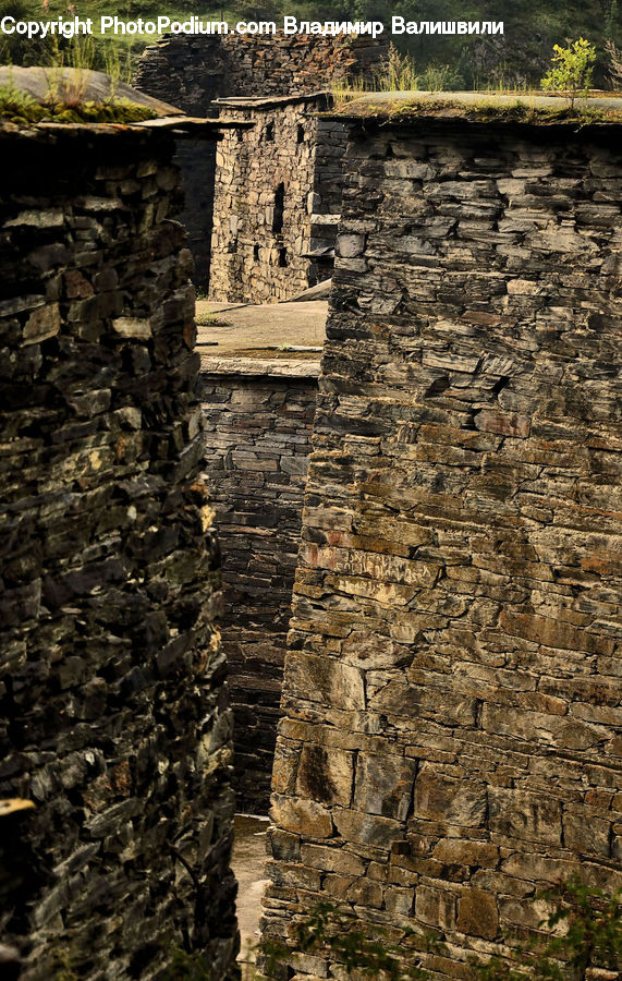 Castle, Fort, Ruins, Bush, Plant, Vegetation, Rock
