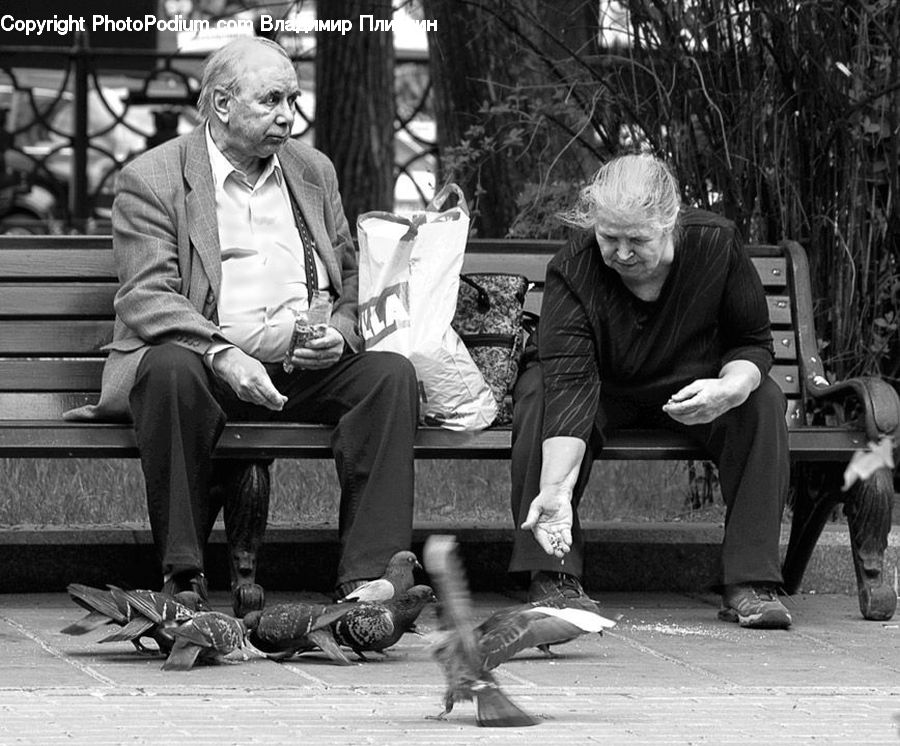People, Person, Human, Bench, Reading, Glasses, Goggles