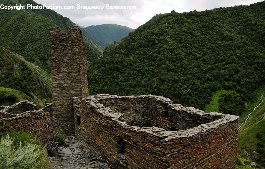 Castle, Fort, Tree Trunk, Cliff, Outdoors, Bush, Plant