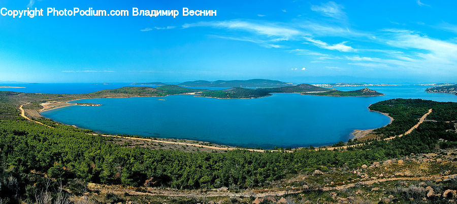 Forest, Jungle, Rainforest, Vegetation, Coast, Outdoors, Sea