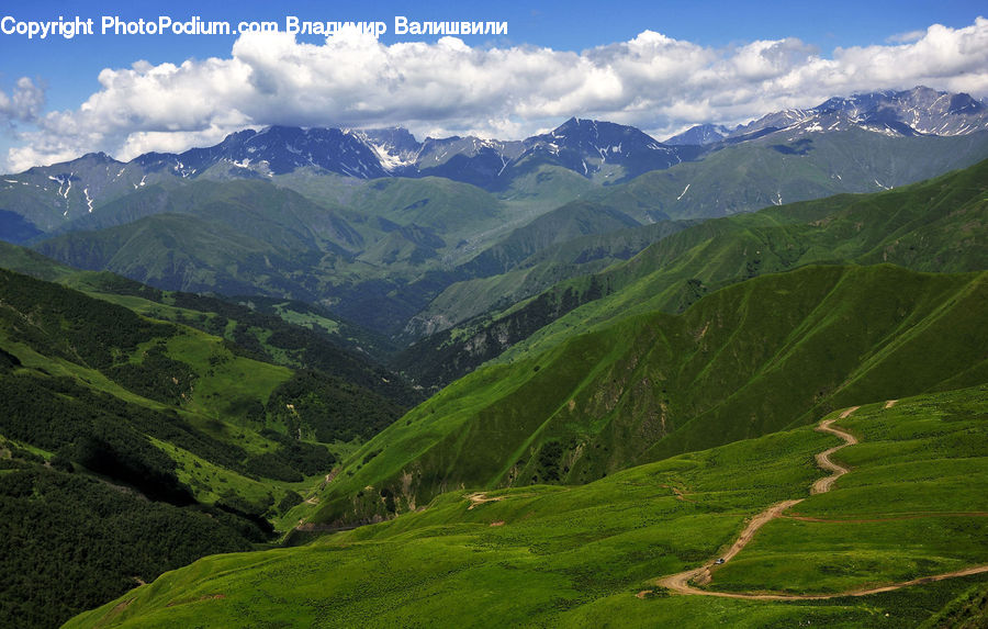Field, Grass, Grassland, Land, Outdoors, Nature, Crest