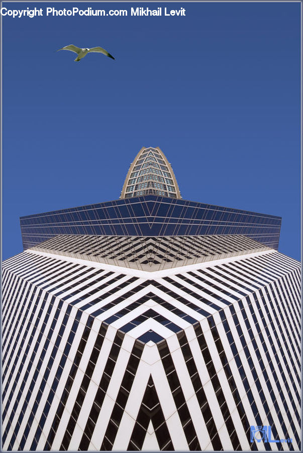 Building, Office Building, Architecture, City, Downtown, High Rise, Skyscraper
