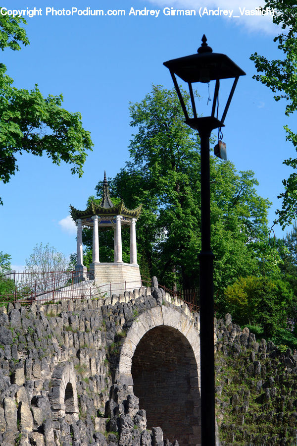 Arch, Architecture, Bell Tower, Clock Tower, Tower, Forest, Vegetation