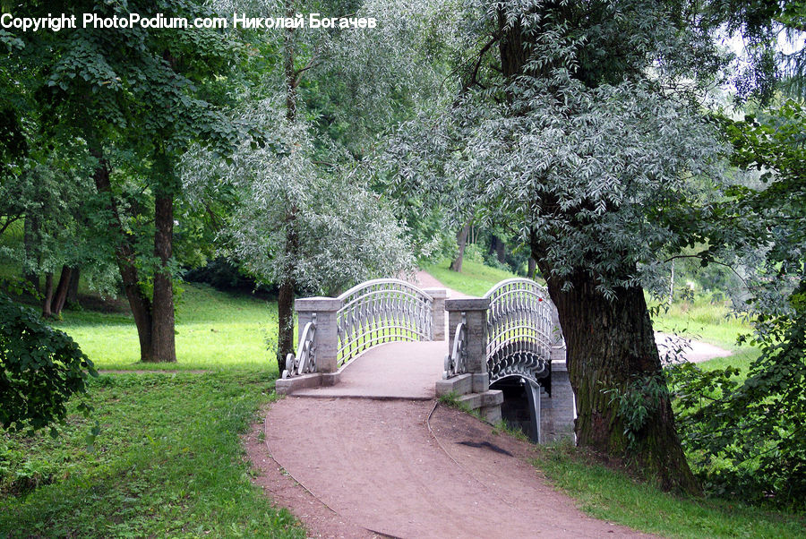 Oak, Tree, Wood, Tomb, Plant, Gazebo, Dirt Road