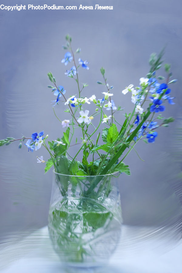 Flower, Flower Arrangement, Flower Bouquet, Herbs, Mint, Plant, Blossom