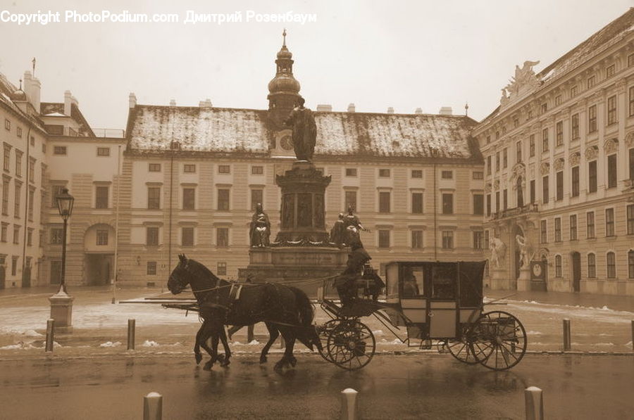 Carriage, Horse Cart, Vehicle, Animal, Horse, Mammal, Bicycle