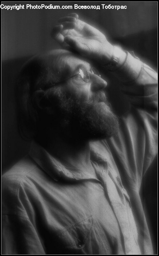 Person, Portrait, Beard, Hair