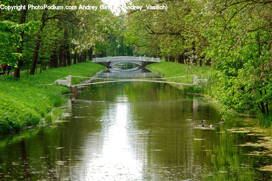 Canal, Outdoors, River, Water, Bridge, Pond, Blossom