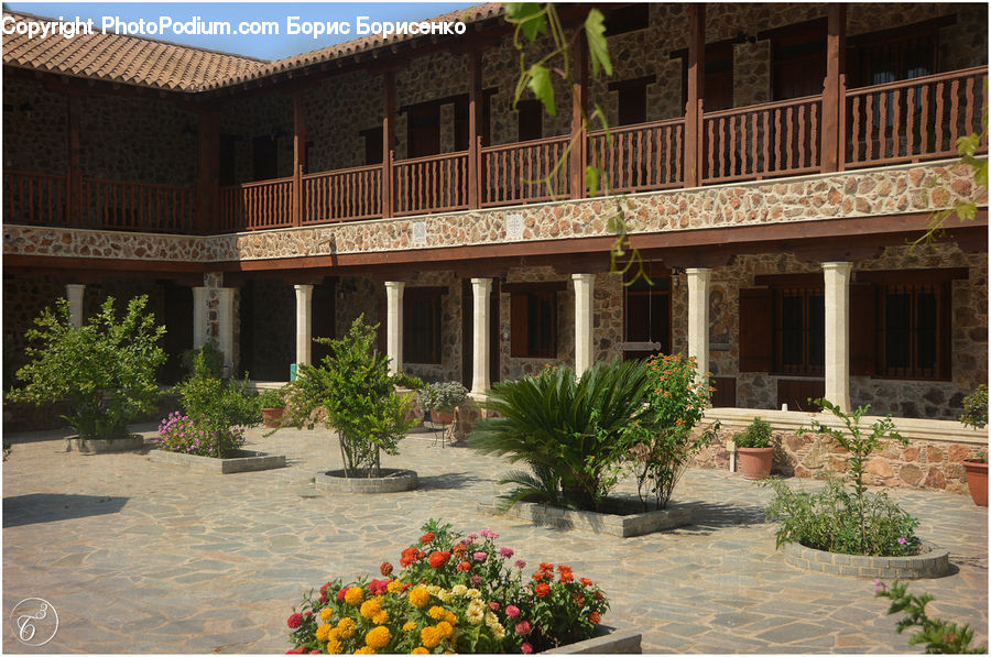 Plant, Potted Plant, Patio, Herbal, Herbs, Planter, Building
