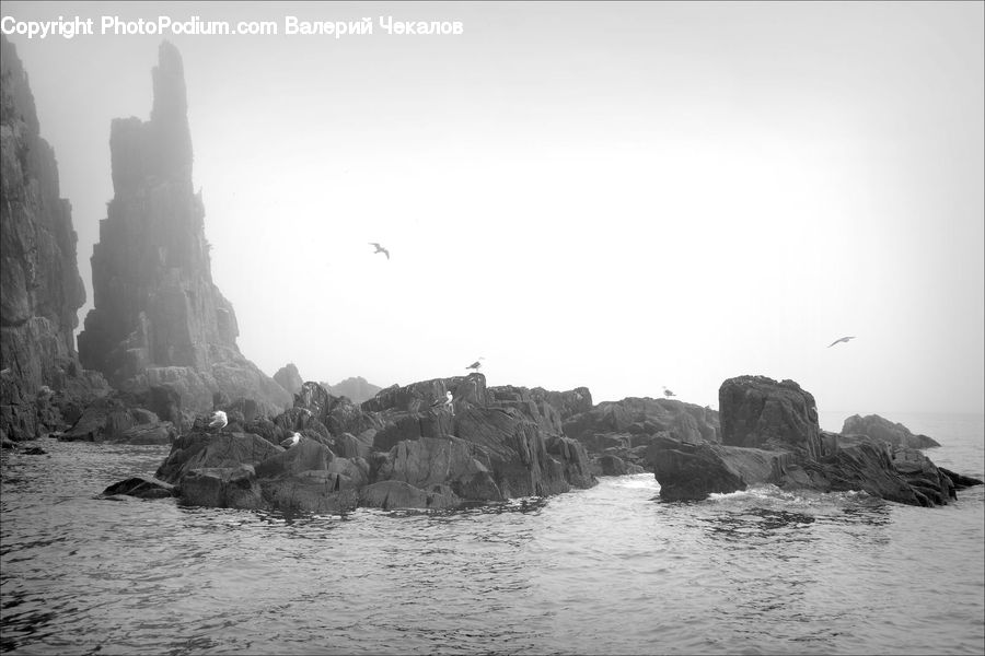 Coast, Outdoors, Sea, Water, Sea Waves, Rock, Forest