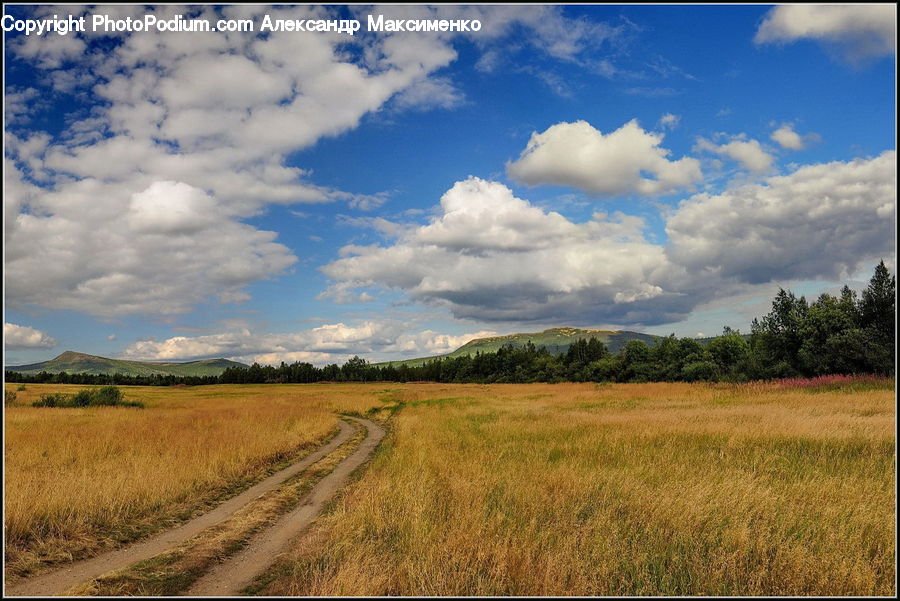 Field, Grass, Grassland, Land, Outdoors, Cloud, Cumulus