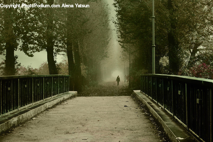 Path, Road, Walkway, Dirt Road, Gravel, Blossom, Flora