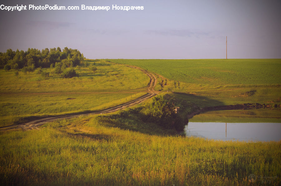 Field, Grass, Grassland, Land, Outdoors, Dirt Road, Gravel