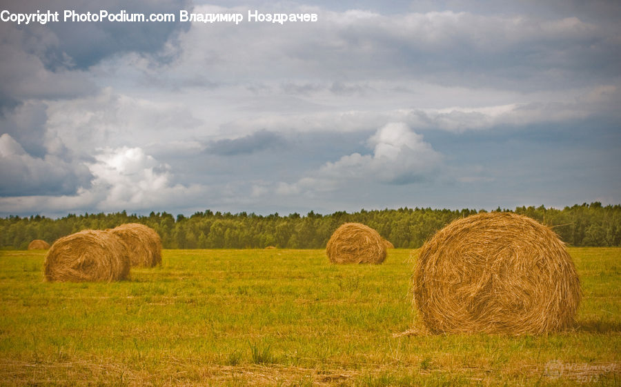 Countryside, Hay, Straw, Field, Grass, Grassland, Plant