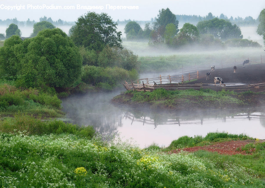 Outdoors, Pond, Water, Canal, River, Countryside, Dirt Road