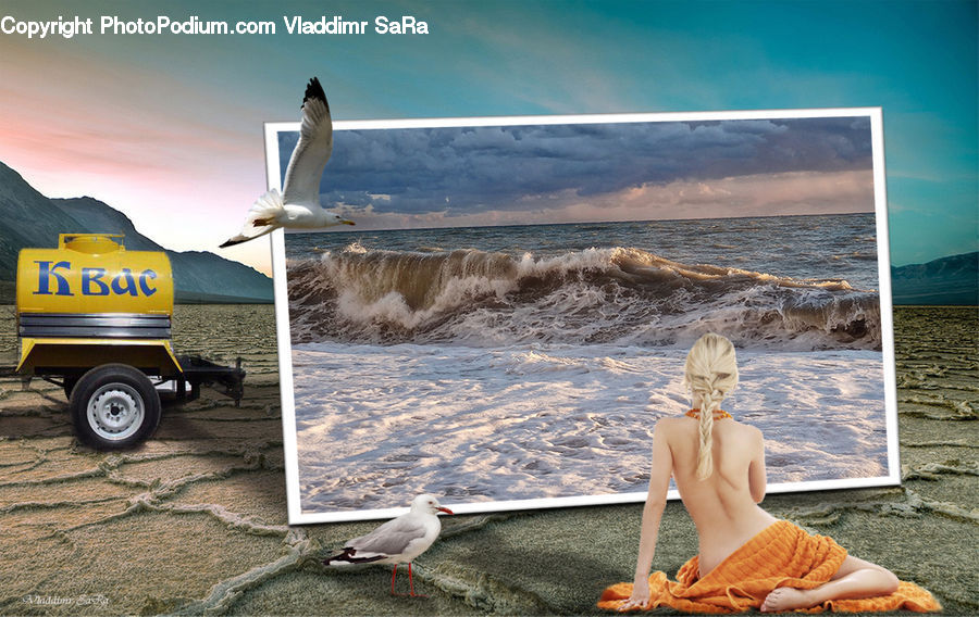 People, Person, Human, Bird, Seagull, Blonde, Female