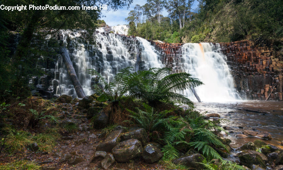 Outdoors, River, Water, Waterfall, Forest, Jungle, Rainforest