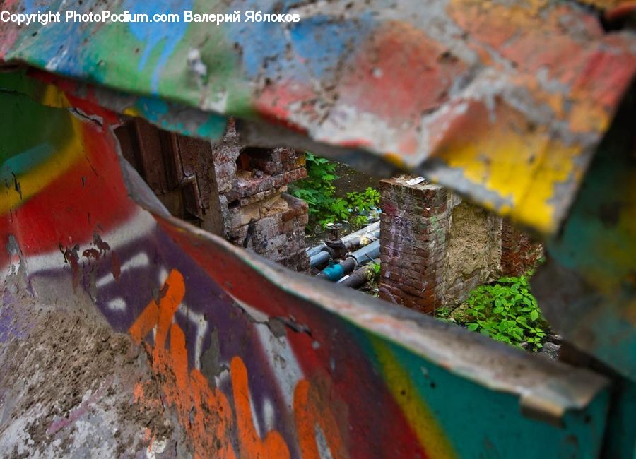 Rust, Algae, Moss, Plant, Rubble, Oak, Sycamore