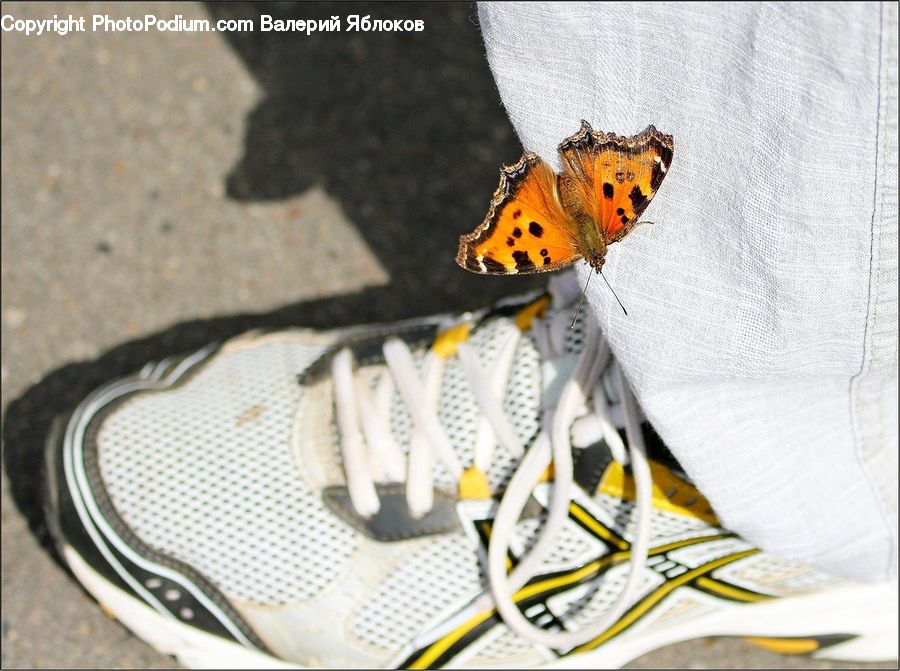 Footwear, Shoe, Pavement