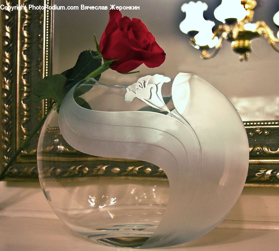 Blossom, Flower, Plant, Rose, Flower Arrangement, Ikebana, Potted Plant