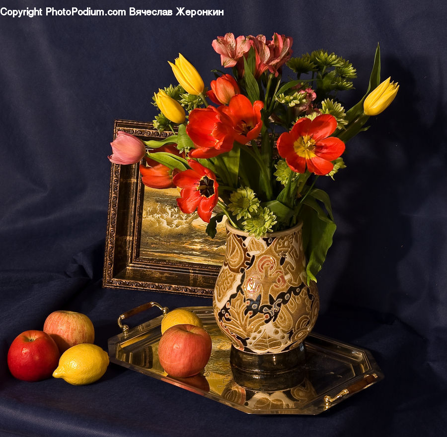 Blossom, Flora, Flower, Plant, Tulip, Glass, Goblet