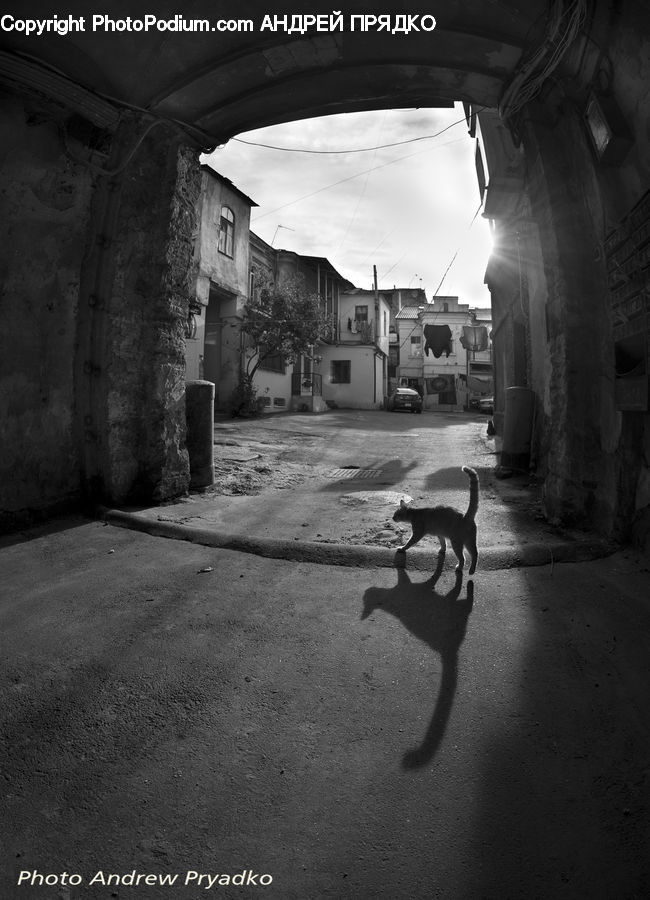 Alley, Alleyway, Road, Street, Town, Arch, Outdoors