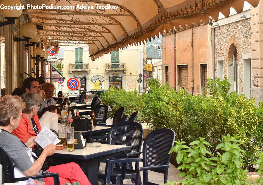Chair, Furniture, People, Person, Human, Plant, Potted Plant