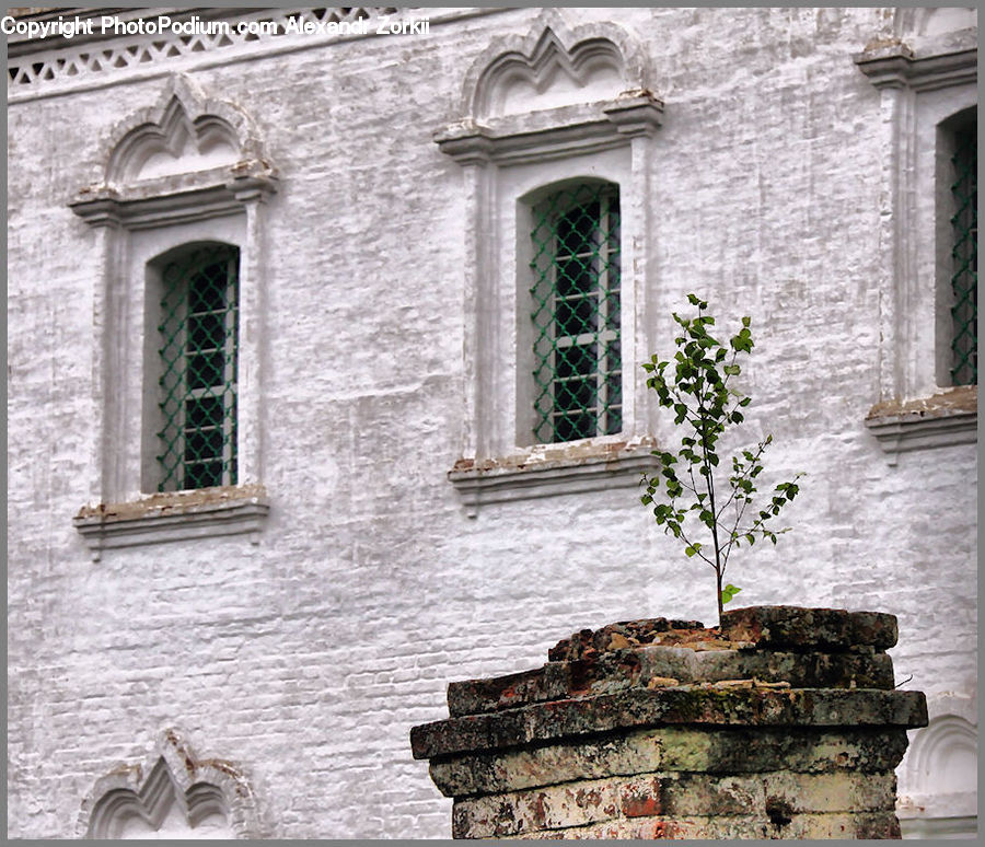 Arch, Bonsai, Plant, Potted Plant, Tree, Brick, Vine