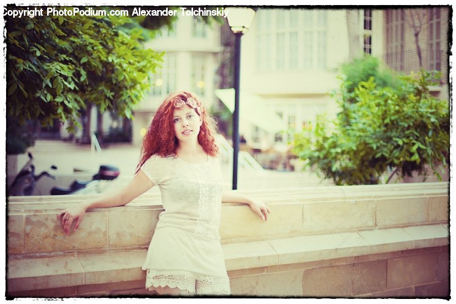 Plant, Potted Plant, People, Person, Human, Female, Moss