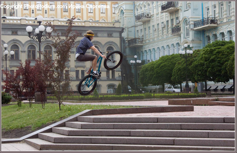 Bicycle, Bike, Vehicle, People, Person, Human, Plant