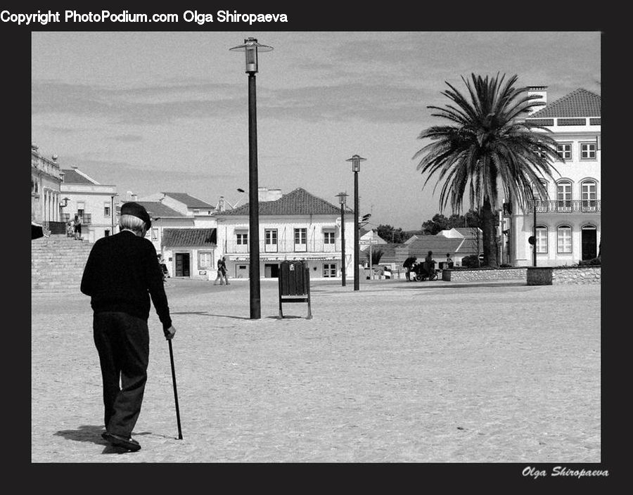 Human, People, Person, Buggy, Carriage, Vehicle, Bench
